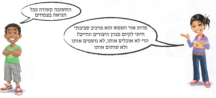 (בספר איור:)